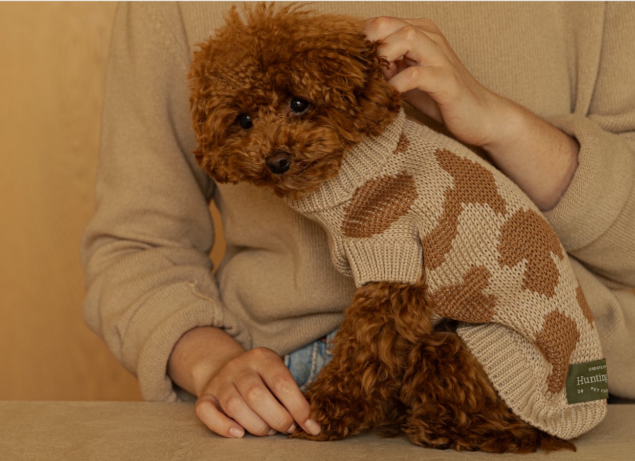 Как подобрать свитер для собак