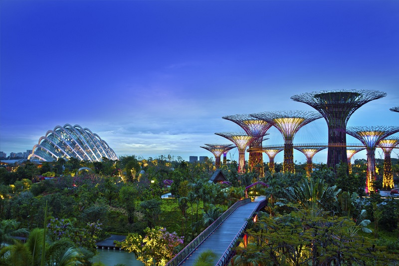 Bigpicture.ru Как Сингапур стал самым зеленым мегаполисом планеты