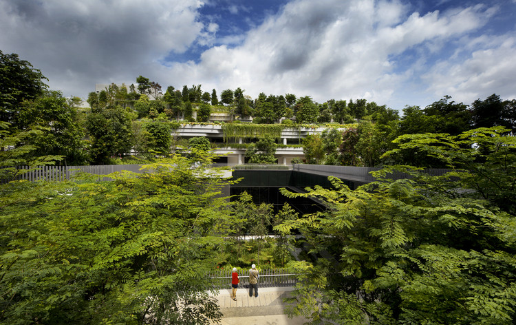 В Сингапуре запустили грандиозный проект по озеленению города