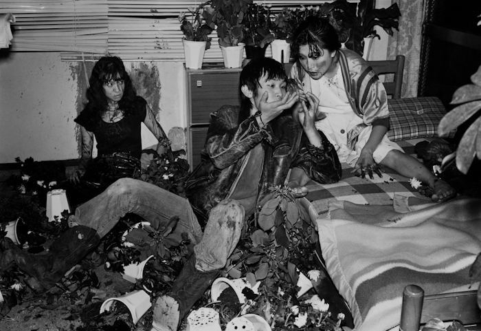 Люди в захламленной комнате с растениями Flash Up Курата 1970-е