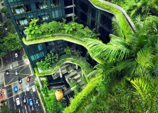 Как Сингапур стал самым зеленым мегаполисом планеты