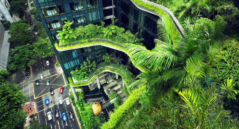 Bigpicture.ru Как Сингапур стал самым зеленым мегаполисом планетын
