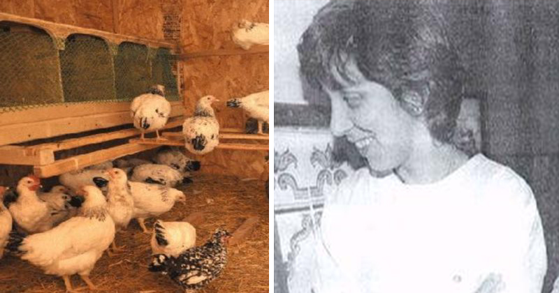 Bigpicture.ru История девочки-курицы из Португалии