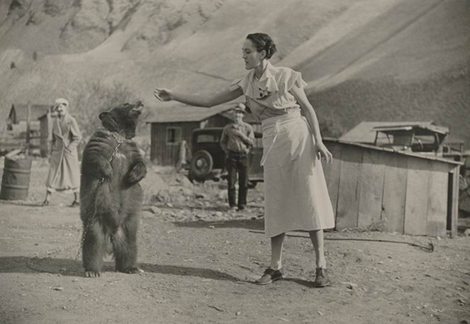 A girl feeds her pet bear in riggins, idaho.