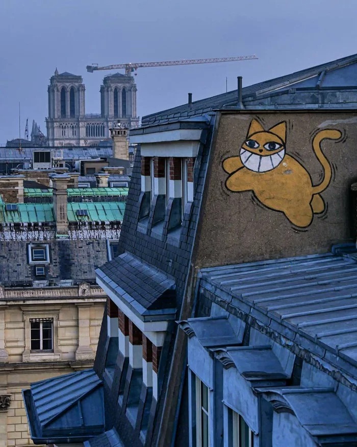 Bigpicture.ru LudoStrl окна и балконы Парижа