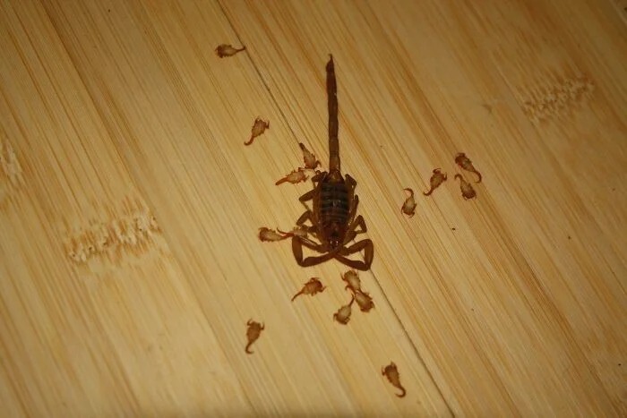 30 жутковатых фото, от которых мурашки бегут по коже
