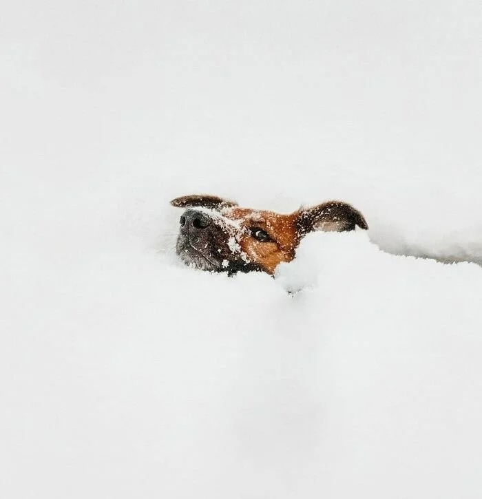 30 холодных фото, наглядно показывающих всю мощь суровой зимы