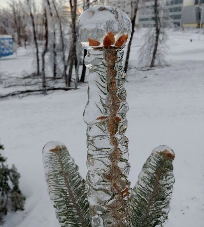 Bigpicture.ru 30 очень холодных фото зимы