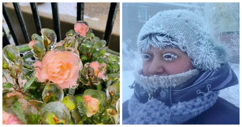 30 холодных фото, наглядно показывающих всю мощь суровой зимы