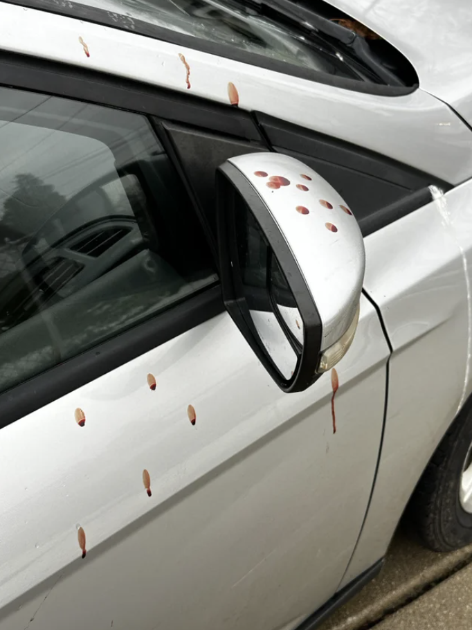 Кровь на боку своей машины