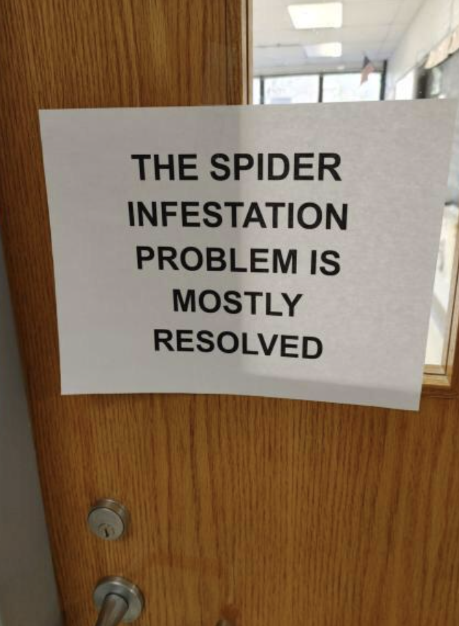 Проблема нашествия пауков по большей части решена
