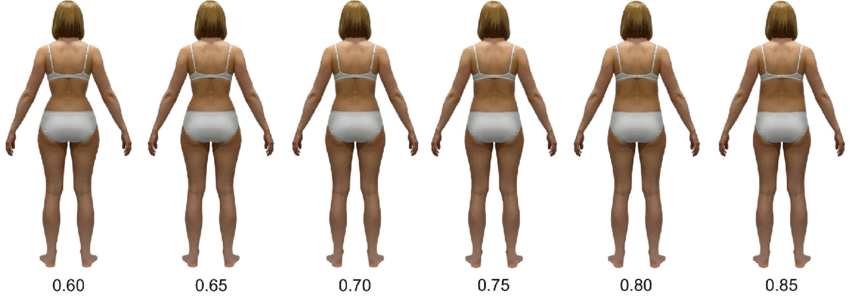 Bigpicture.ru 10 научно доказанных фактов о притяжении половof stimuli silhouettes color version of average weight woman body mass index