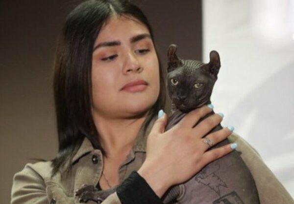 Из мексиканской тюрьмы освободился татуированный кот