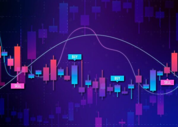 Terra Trade отзывы: что предлагает брокер