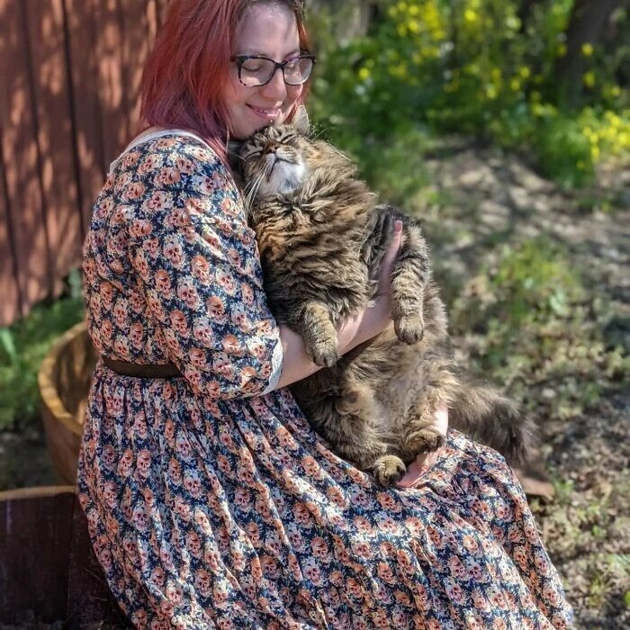 Bigpicture.ru 30 трогательных фото котов и собак, которых обрели дом и семью