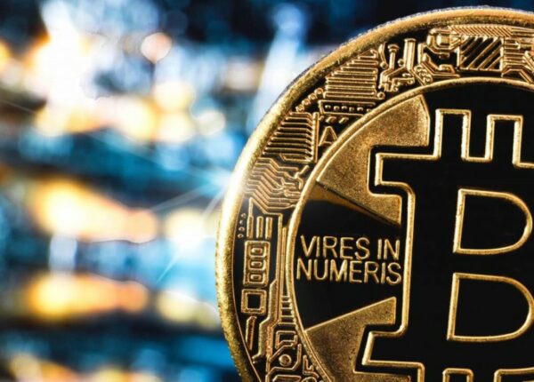 Renfield Consult отзывы: как заработать с брокером