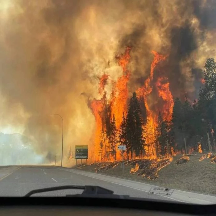 Bigpicture.ru В Канаде женщины-пожарные сожгли национальный парк