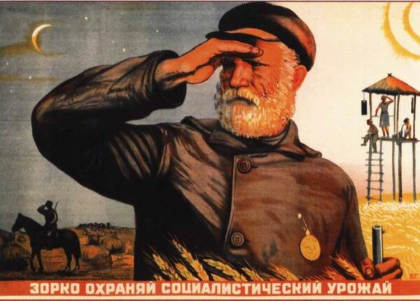 «Закон о трех колосках», или Как Сталин боролся с хищением социалистической собственности