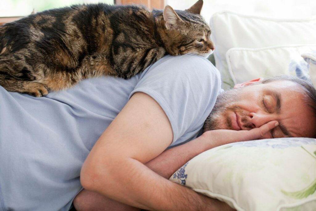 5 причин, почему кошки любят спать на человеке » BigPicture.ru