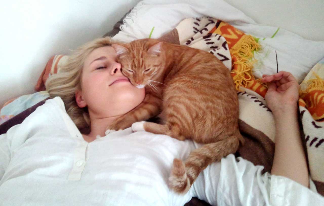 Кот спит с хозяйкой