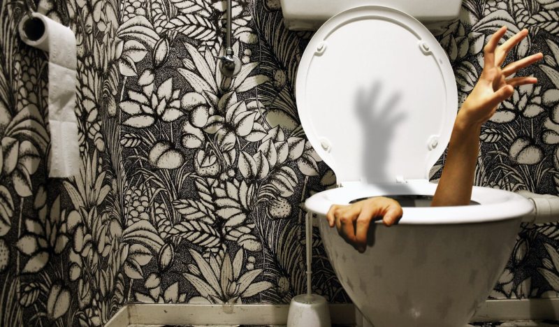 Bigpicture.ru фото странных туалетовbowl smart one