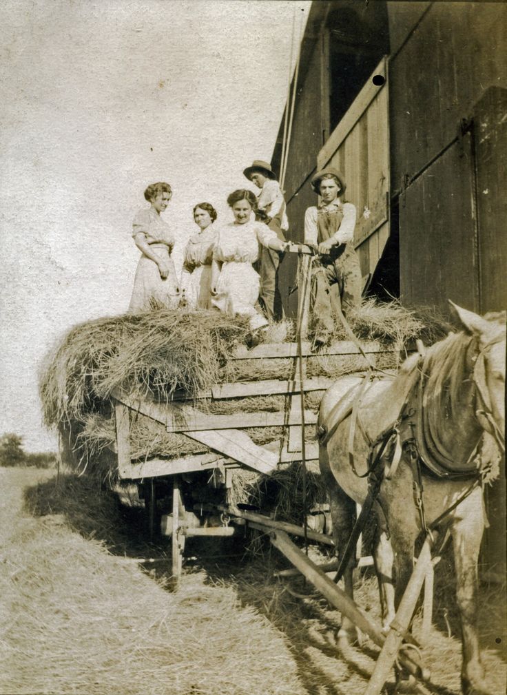 Bigpicture.ru Фермеры из Алабамы. Фото начала 20 века antique photos old photos