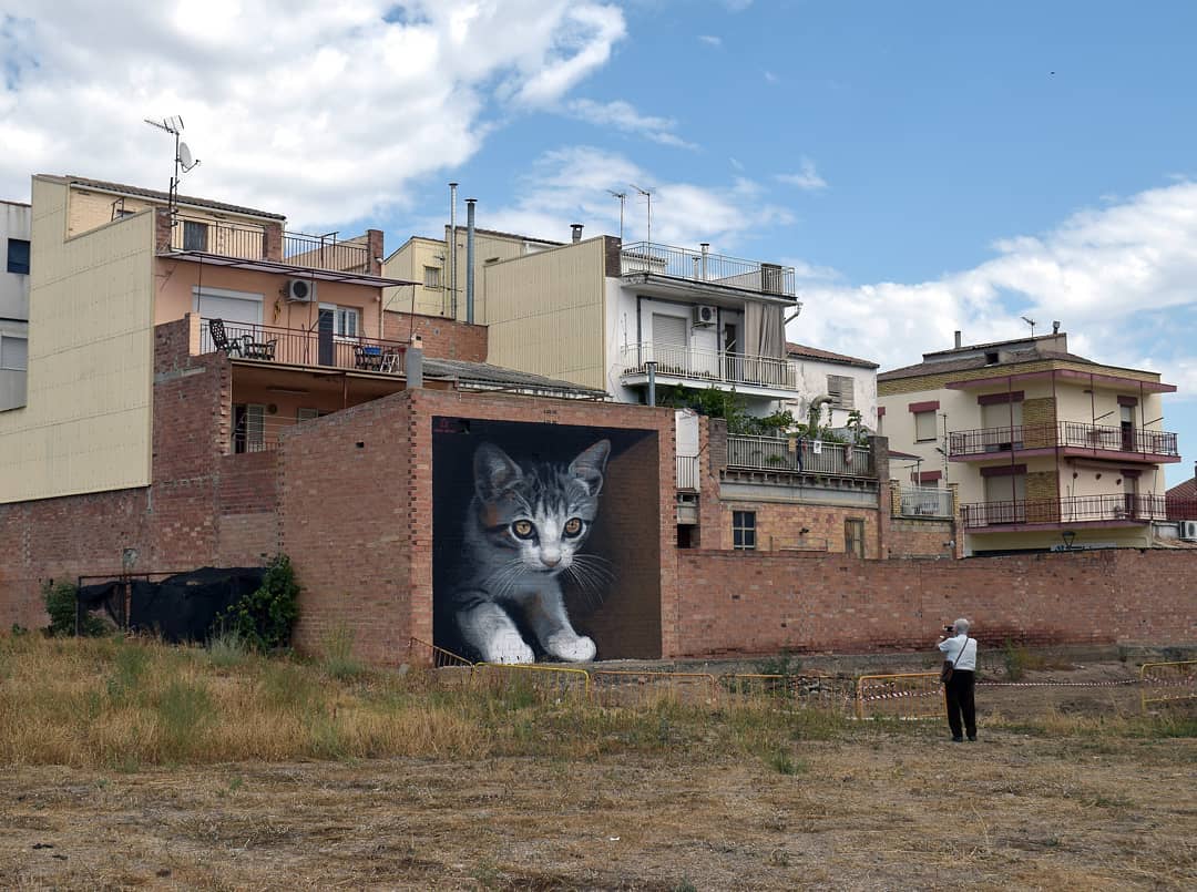 Гигантский мурал Ориола Аруми с котёнком на стене здания в Каталонии