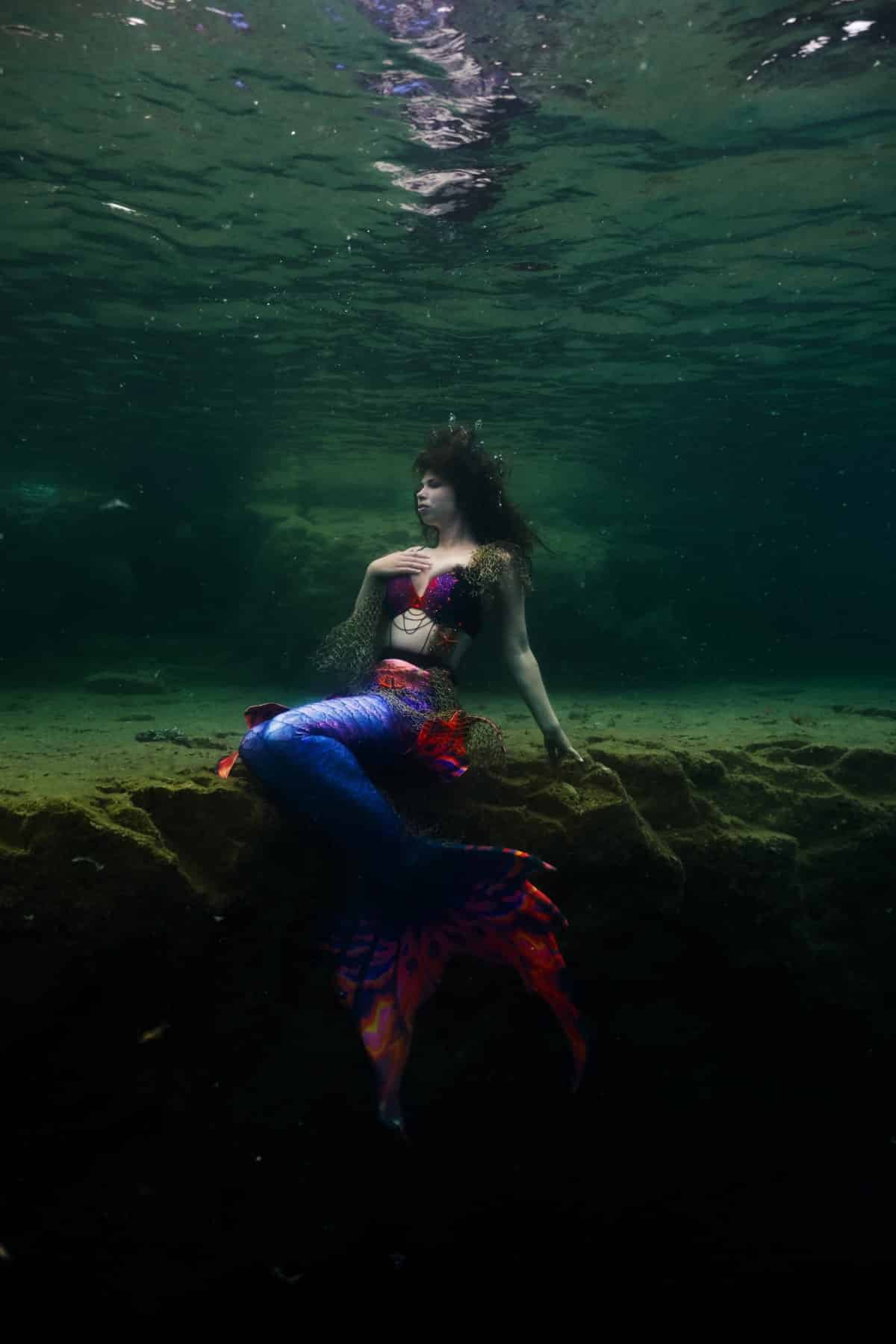 Bigpicture.ru  steve haining guinness record underwater photography 2