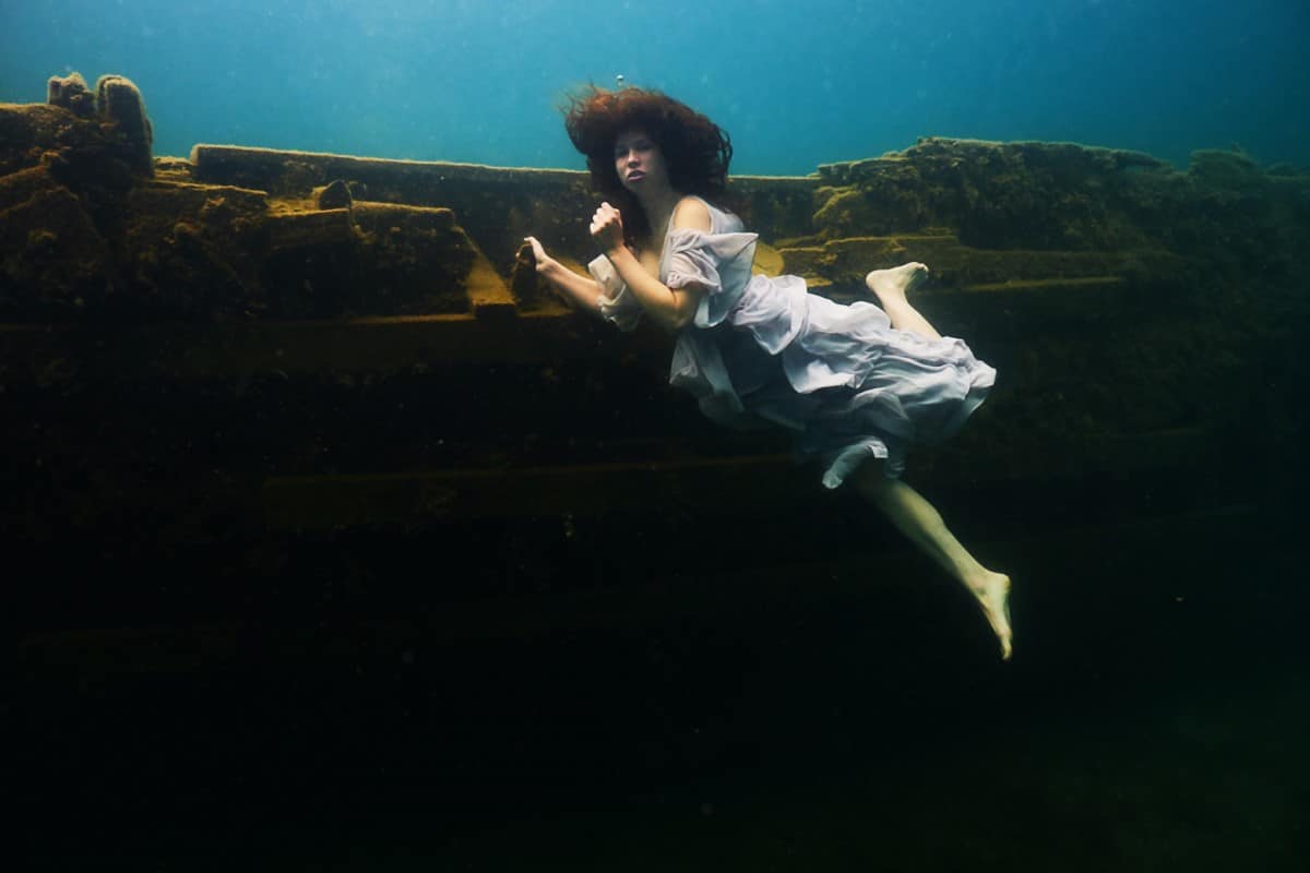 Bigpicture.ru  steve haining guinness record underwater photography 4