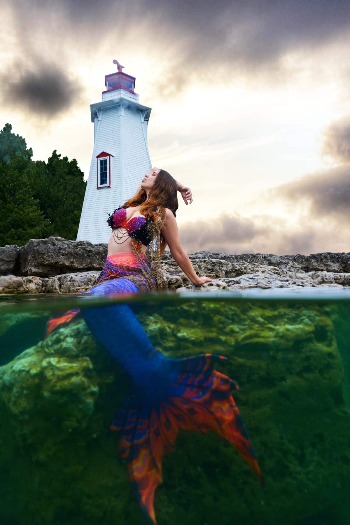 Bigpicture.ru  steve haining guinness record underwater photography 8
