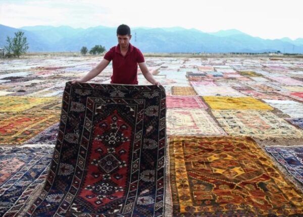 Зачем турки раскладывают на полях тысячи ковров