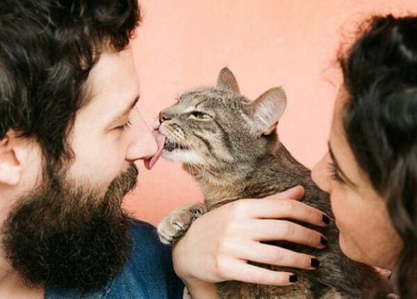 5 способов показать кошке свою любовь