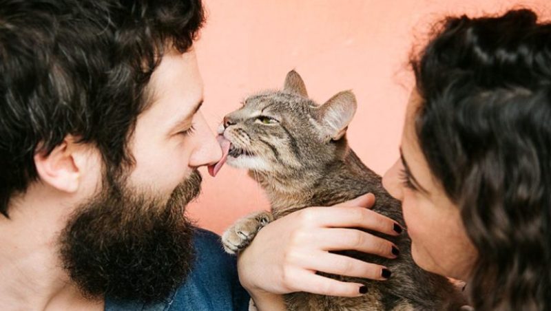 5 способов показать кошке свою любовь » BigPicture.ru