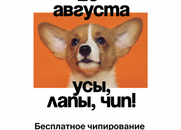 20 августа Акция «Усы, лапы, чип!» по бесплатному чипированию питомцев в парках Москвы