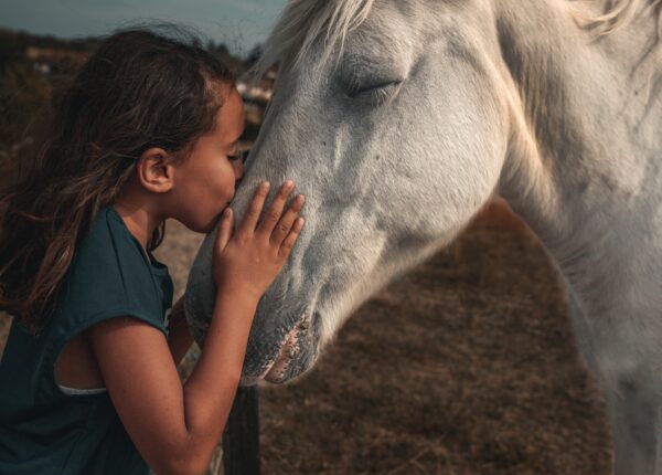 Как этично общаться с лошадьми?