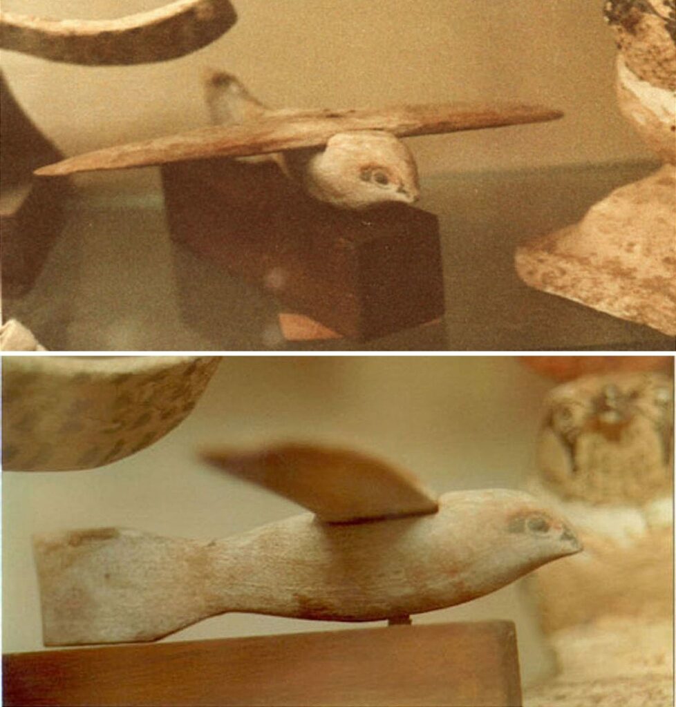 Bigpicture ru птица из саккары в египте
