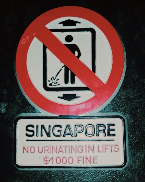 Bigpicture.ru singapore no urinating