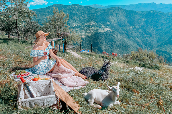 Bigpicture ru picnic with goats in nika hotel and club