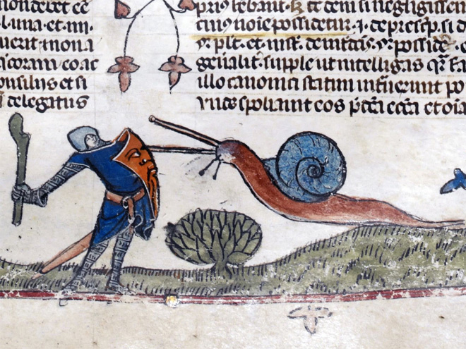 Bigpicture ru medieval snails1