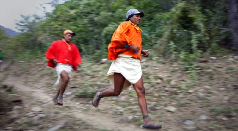 Bigpicture.ru Индейцы тараумара: с чем связан феномен лучших бегунов планеты