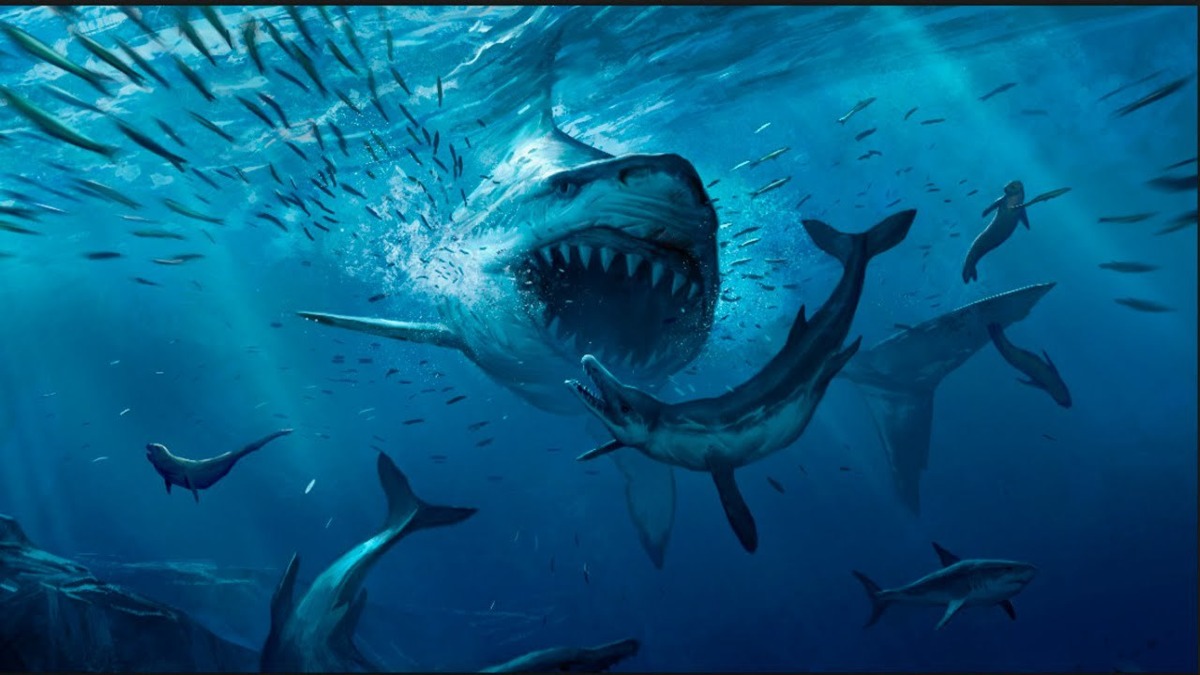 Bigpicture.ru доисторическая акула-гигант мегалодон