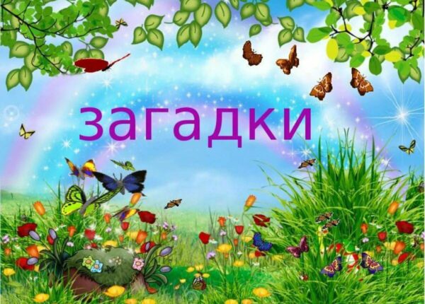 Развивайте логику и воображение: Детские загадки на сайте Все-Загадки.ру