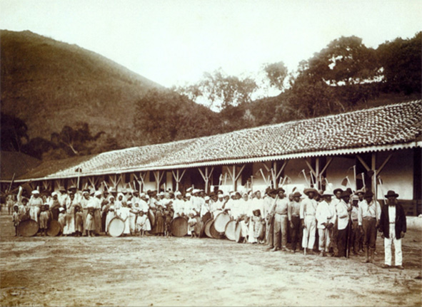 Bigpicture.ru Рабы на плантации в Бразилии. Фото середины 19 века
