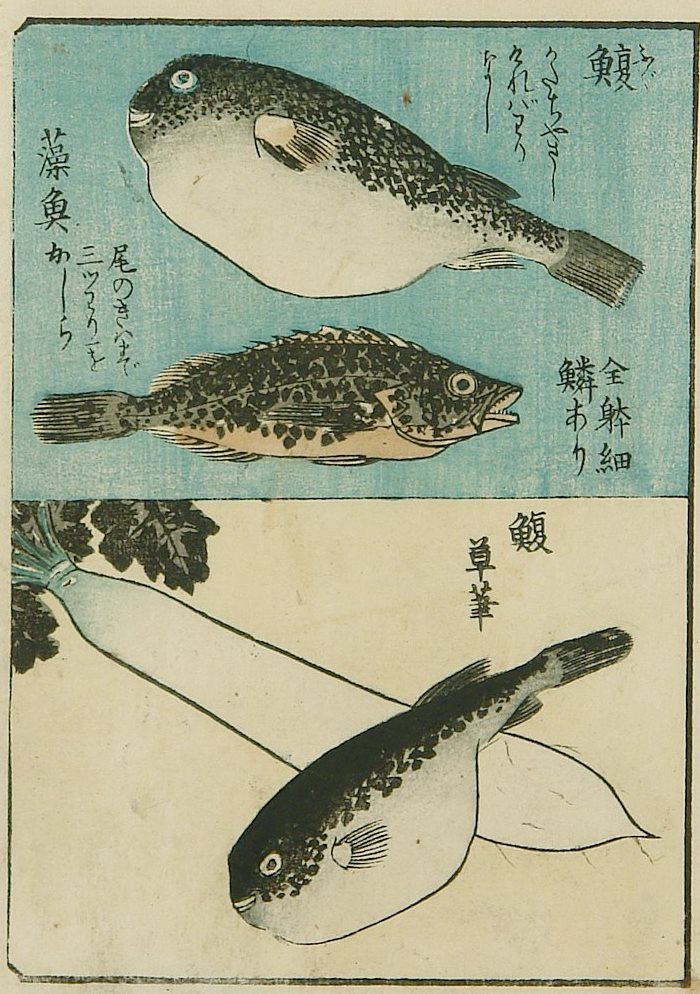 Bigpicture.ru Утагава Хиросигэ. Диптих: рыба фугу и лещ, рыба фугу и белый баклажан, 1848 год