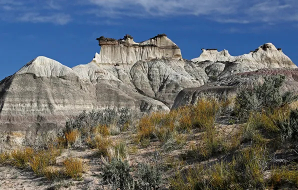 Скалы в штате Нью-Мексико