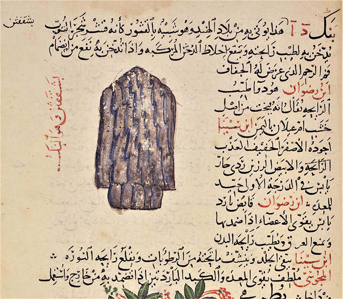Bigpicture.ru изображение кофе в арабском трактате 12-го века