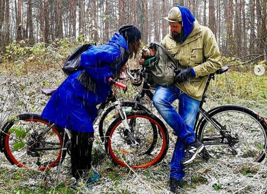 Bigpicture.ru История Анны Смолиной, которая проехала с собакой полстраны на велосипеде