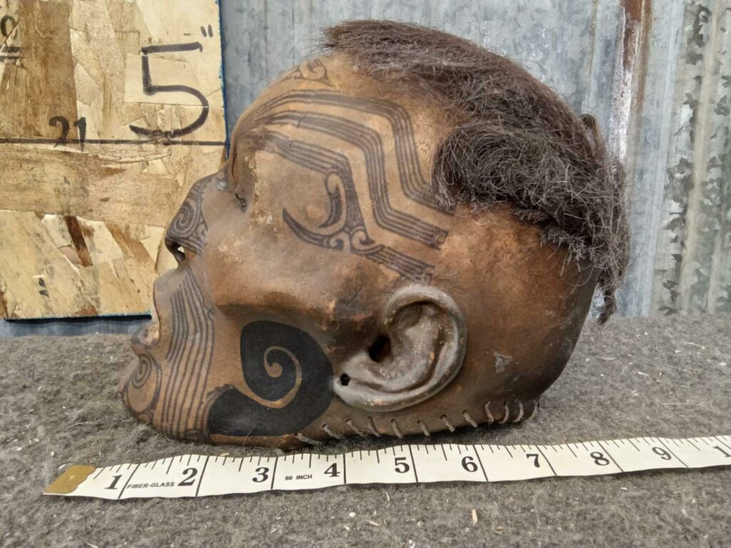 Bigpicture.ru Сушеные головы мокомокаи - жуткие реликвии народа маори