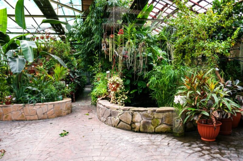 Bigpicture ru ботанический сад