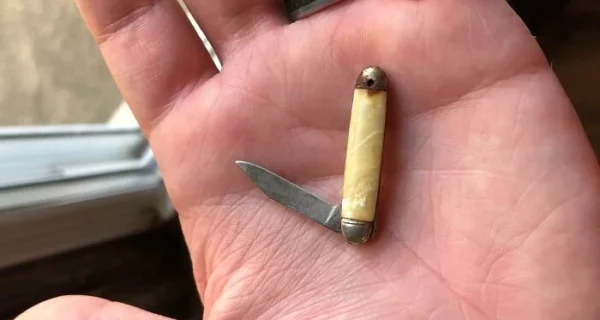 От черепахи до старинных шахмат: 30 необычных вещей, полученных в наследство